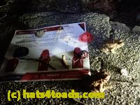 /home//u458753944/public_html/sourcegallery//Roxborough Toad Detour/2020/2020-03-20/P3200378.JPG